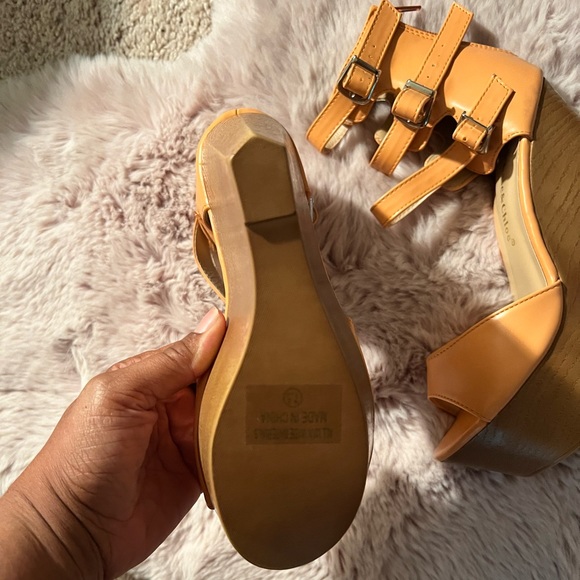 Shelby - Picture 2 of 3